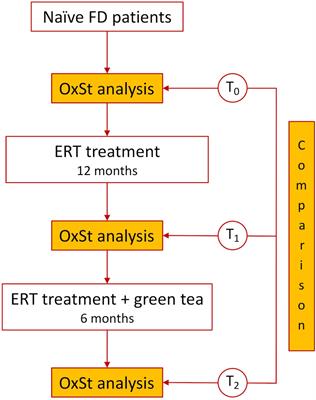 The Effect of Green Tea as an Adjuvant to Enzyme Replacement Therapy on Oxidative Stress in Fabry Disease: A Pilot Study